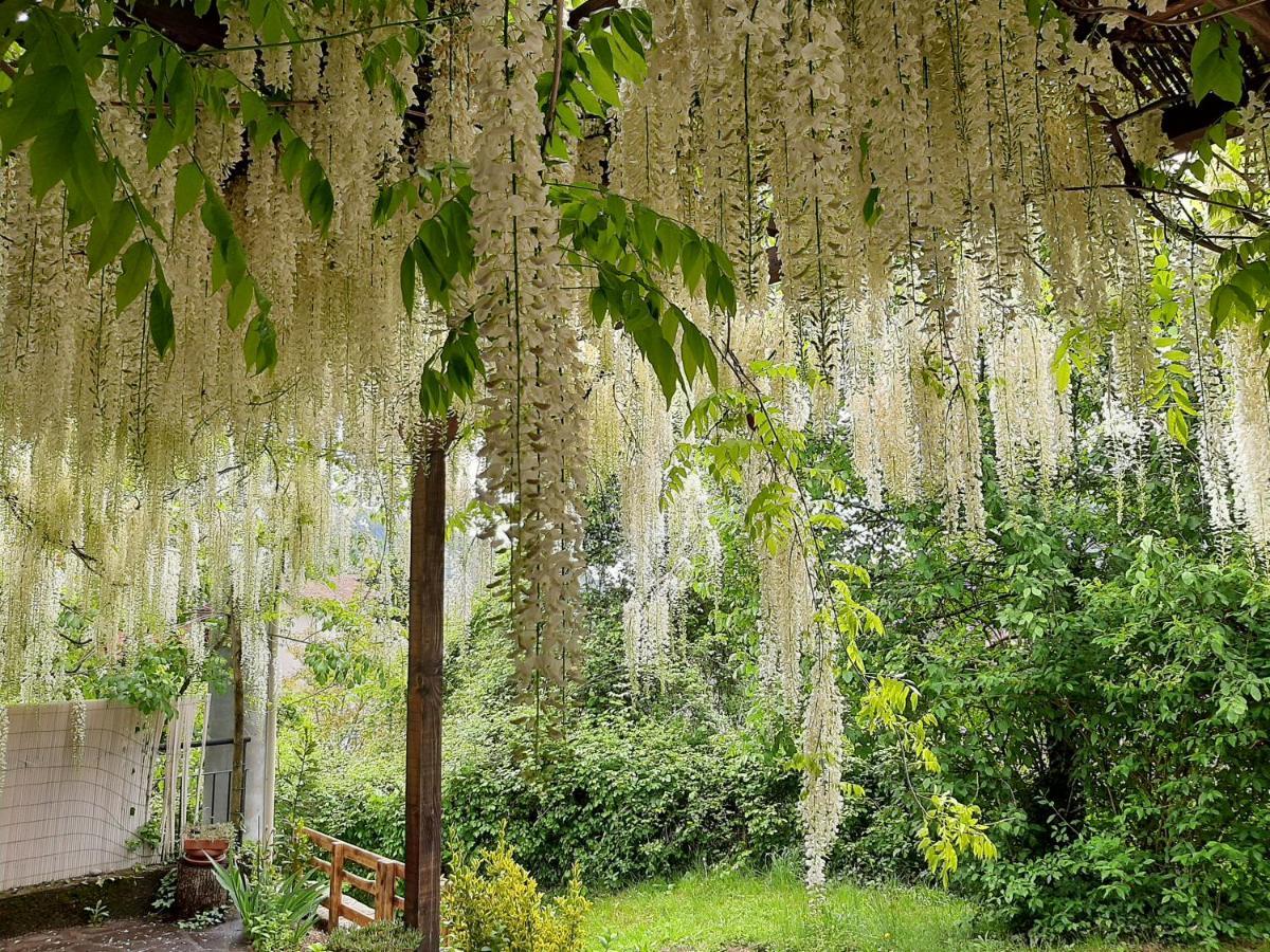 Villa Della Rocca Vobarno Dış mekan fotoğraf